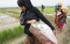Aung San Suu Kyi should speak out for Rohingya