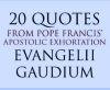 20 Quotes from Pope Francis' "Joy of the Gospel "