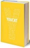 “Youcat”, the catechism for the young 